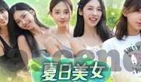 足球直播比分球探-足球直播比分与球探，数字时代的绿茵场双翼